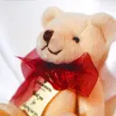 ☜萿寶♥蓉儿☞