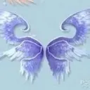 ☆☆飛舞☆☆