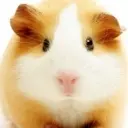 ☆梦╱★