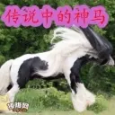 愛❤老公