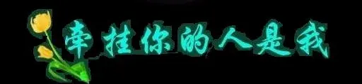 星光★一天的主播照片