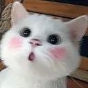 ！爱的就是你！