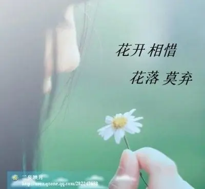 你是我最爱的风景的主播照片