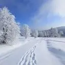 听风忆雪爱你1314