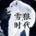 ☆﹀╮利刃雪狼