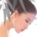 新南飞雁