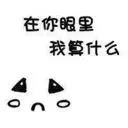 詩詩→_→
