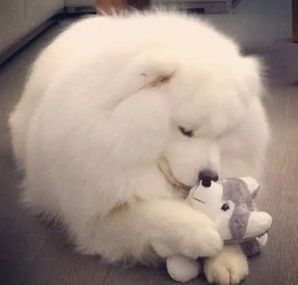✿゛丹ゞ宝的主播照片