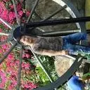 グ富ぉ二ゲ代