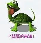 🌺最美的图片