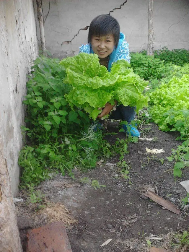 ◕‿-｡平阳公主的主播照片