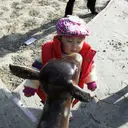 徐水新手