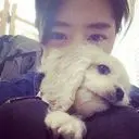 小绿叶没有家了