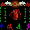 一个人的孤单up