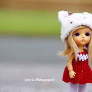 红力的故事