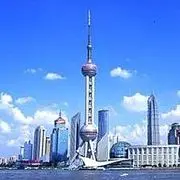 沪A俊哥503