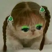 ☆﹀╮龙腾王爷