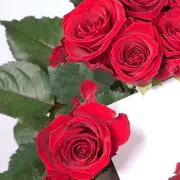 俺家宝贝