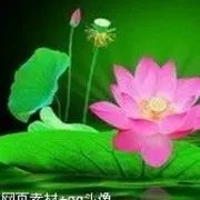 亲爱的，亲爱的。