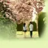 青春～无悔