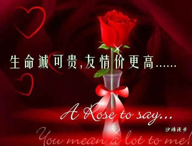 ➹➹❀追寻❀➹➹的主播照片