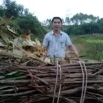 知心老罗