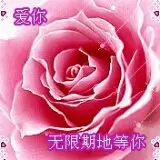骑着猪儿闯天下