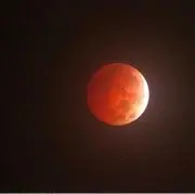 147453332