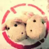 ……@少，杰@