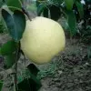 对的时候错的人