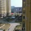 林肖哥