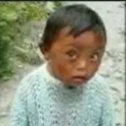 快乐的，鸟