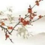 殇歖..