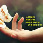 零规则