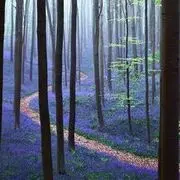 じ★veお縴ɡùа℃