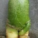 @红烧屁股@