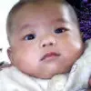 网式如凤