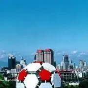 大连奔跑的川狼