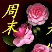 爱就陪这我