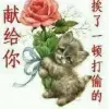与你飞翔c