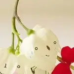 我真难忍