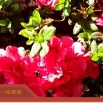 夜深了东哥也疯狂