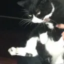 夏日眼泪