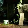 唱着忐忑的青春