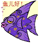 随风放飞心情的主播照片