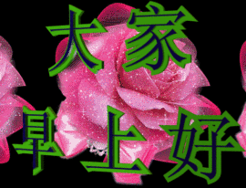 曾经沧海难为晕主播照片
