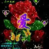 春夏秋冬79