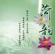 雨荷绿漪