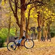 齾龗麤鱻爩