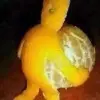 ˊ萬裏獨行ˋ
